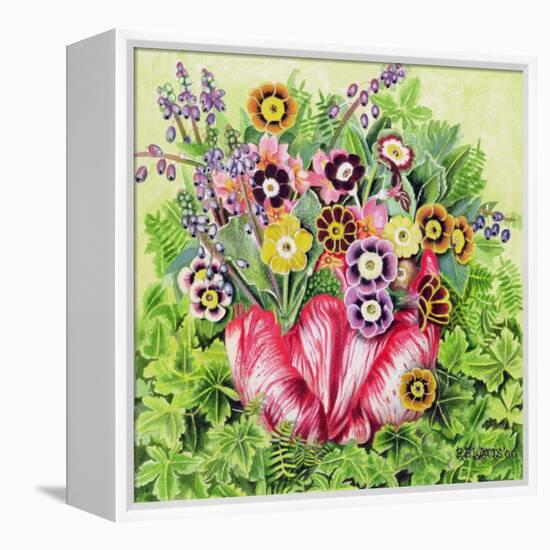 Auriculas, 2000-E.B. Watts-Framed Premier Image Canvas