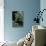 Aurigena Unicolor (Jewel Beetle)-Paul Starosta-Photographic Print displayed on a wall