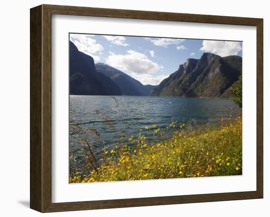 Aurlandsfjorden Near Aurlandsvangen, Sogn Og Fjordane, Norway, Scandinavia, Europe-Hans Peter Merten-Framed Photographic Print