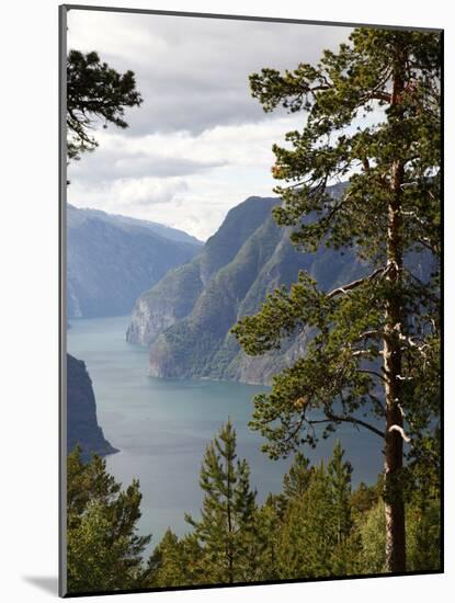 Aurlandsfjorden Near Aurlandsvangen, Sogn Og Fjordane, Norway, Scandinavia, Europe-Hans Peter Merten-Mounted Photographic Print