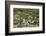 Aurlandsvangen, Aurlandsfjord, Sognefjord, Norway, Scandinavia, Europe-Tony Waltham-Framed Photographic Print