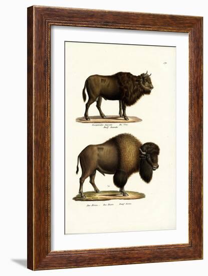 Aurochs, 1824-Karl Joseph Brodtmann-Framed Giclee Print