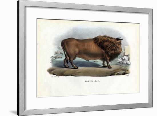 Aurochs, 1863-79-Raimundo Petraroja-Framed Giclee Print