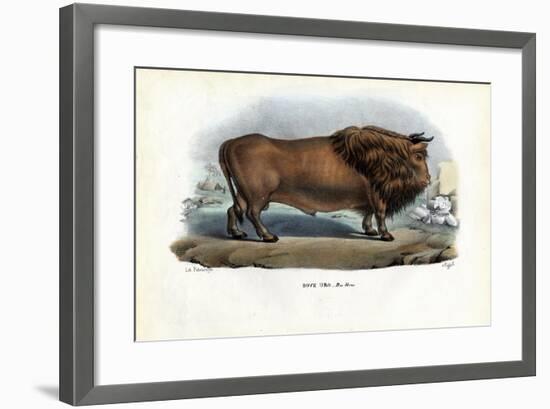 Aurochs, 1863-79-Raimundo Petraroja-Framed Giclee Print