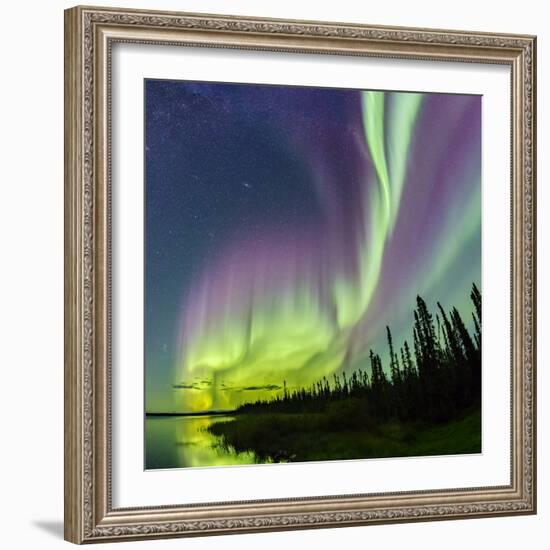 Aurora borealis above silhouetted taiga and Great Slave Lake, Northwest Territories, Canada-Panoramic Images-Framed Photographic Print