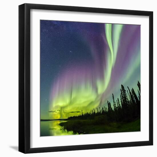 Aurora borealis above silhouetted taiga and Great Slave Lake, Northwest Territories, Canada-Panoramic Images-Framed Photographic Print