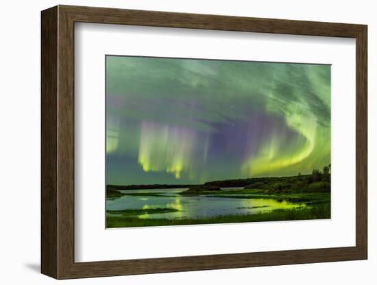 Aurora borealis above South Heart River, Winagami Wildland Provincial Park, Alberta, Canada-Panoramic Images-Framed Photographic Print