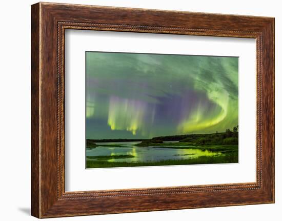 Aurora borealis above South Heart River, Winagami Wildland Provincial Park, Alberta, Canada-Panoramic Images-Framed Photographic Print