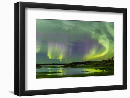 Aurora borealis above South Heart River, Winagami Wildland Provincial Park, Alberta, Canada-Panoramic Images-Framed Photographic Print