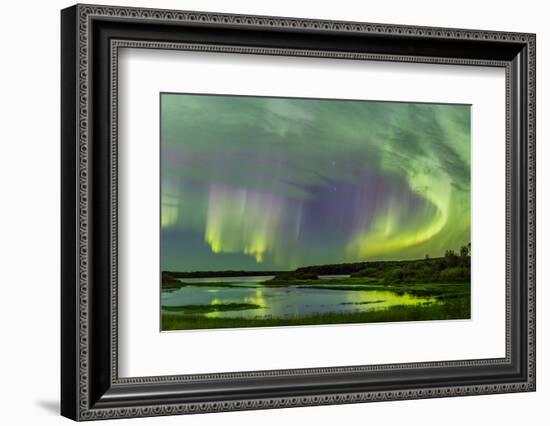 Aurora borealis above South Heart River, Winagami Wildland Provincial Park, Alberta, Canada-Panoramic Images-Framed Photographic Print