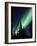 Aurora Borealis Above the Trees, Northwest Territories, Canada-Stocktrek Images-Framed Photographic Print