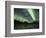 Aurora Borealis, Alaska, USA-Hugh Rose-Framed Photographic Print