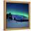 Aurora Borealis and a Shooting Star in the Woods of Troms County, Norway-Stocktrek Images-Framed Premier Image Canvas