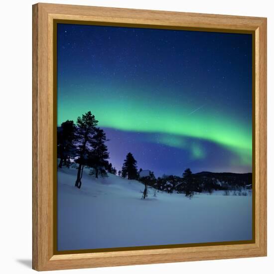 Aurora Borealis and a Shooting Star in the Woods of Troms County, Norway-Stocktrek Images-Framed Premier Image Canvas