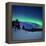 Aurora Borealis and a Shooting Star in the Woods of Troms County, Norway-Stocktrek Images-Framed Premier Image Canvas