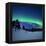 Aurora Borealis and a Shooting Star in the Woods of Troms County, Norway-Stocktrek Images-Framed Premier Image Canvas