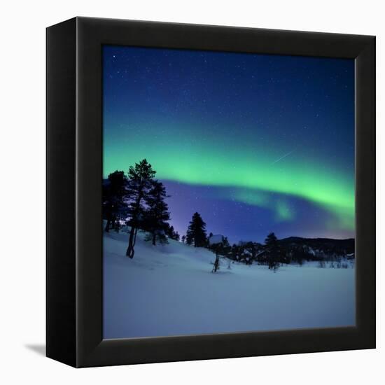 Aurora Borealis and a Shooting Star in the Woods of Troms County, Norway-Stocktrek Images-Framed Premier Image Canvas