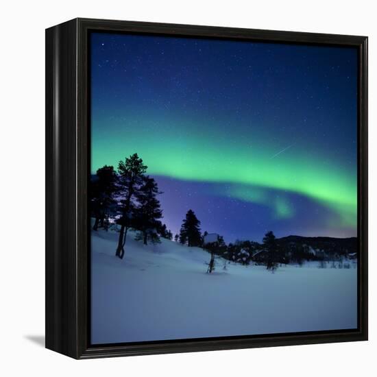 Aurora Borealis and a Shooting Star in the Woods of Troms County, Norway-Stocktrek Images-Framed Premier Image Canvas