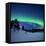 Aurora Borealis and a Shooting Star in the Woods of Troms County, Norway-Stocktrek Images-Framed Premier Image Canvas