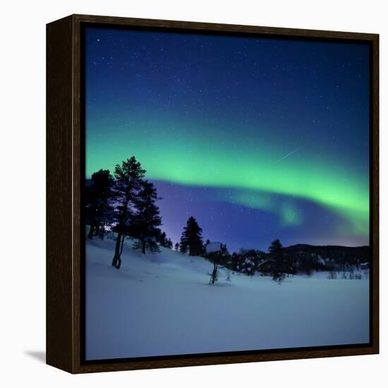 Aurora Borealis and a Shooting Star in the Woods of Troms County, Norway-Stocktrek Images-Framed Premier Image Canvas