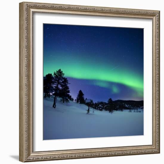 Aurora Borealis and a Shooting Star in the Woods of Troms County, Norway-Stocktrek Images-Framed Photographic Print