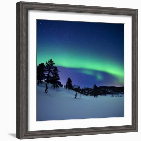 Aurora Borealis and a Shooting Star in the Woods of Troms County, Norway-Stocktrek Images-Framed Photographic Print