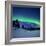 Aurora Borealis and a Shooting Star in the Woods of Troms County, Norway-Stocktrek Images-Framed Photographic Print