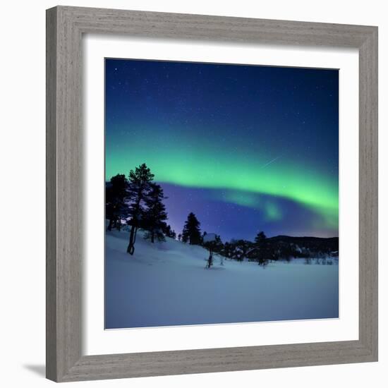 Aurora Borealis and a Shooting Star in the Woods of Troms County, Norway-Stocktrek Images-Framed Photographic Print