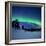 Aurora Borealis and a Shooting Star in the Woods of Troms County, Norway-Stocktrek Images-Framed Photographic Print