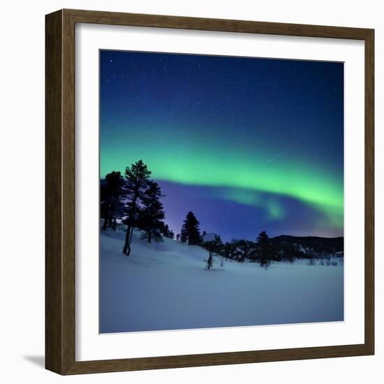 Aurora Borealis and a Shooting Star in the Woods of Troms County, Norway-Stocktrek Images-Framed Photographic Print