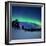 Aurora Borealis and a Shooting Star in the Woods of Troms County, Norway-Stocktrek Images-Framed Photographic Print