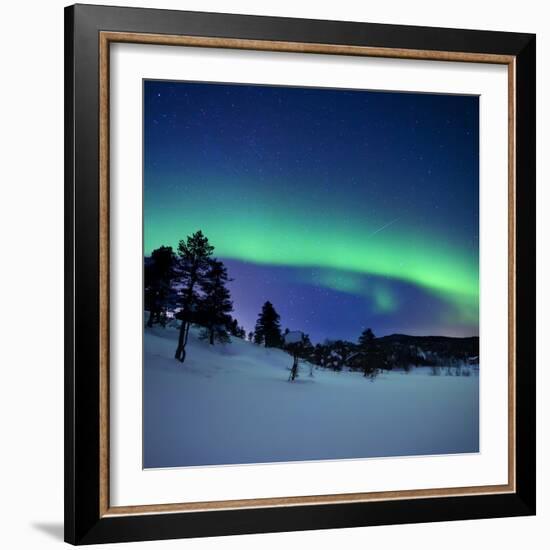 Aurora Borealis and a Shooting Star in the Woods of Troms County, Norway-Stocktrek Images-Framed Photographic Print