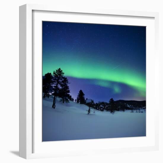 Aurora Borealis and a Shooting Star in the Woods of Troms County, Norway-Stocktrek Images-Framed Photographic Print