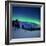 Aurora Borealis and a Shooting Star in the Woods of Troms County, Norway-Stocktrek Images-Framed Photographic Print