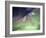 Aurora Borealis And Big Dipper Burst, Canada-Stocktrek Images-Framed Photographic Print