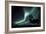 Aurora Borealis And Caribou-Kaj Svensson-Framed Photographic Print