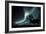 Aurora Borealis And Caribou-Kaj Svensson-Framed Photographic Print