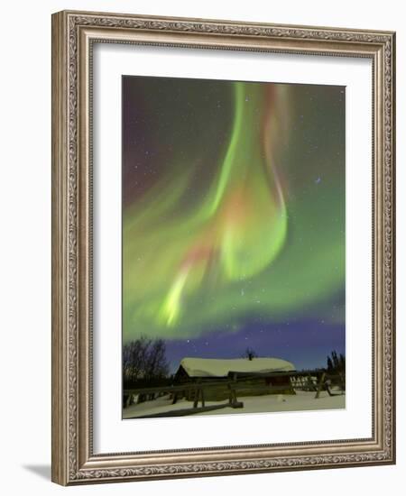 Aurora Borealis And Orion's Belt Above a Log Cabin at Whitehorse, Yukon, Canada-Stocktrek Images-Framed Photographic Print