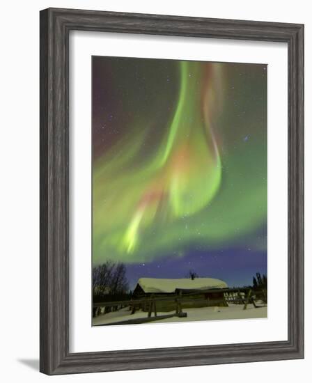 Aurora Borealis And Orion's Belt Above a Log Cabin at Whitehorse, Yukon, Canada-Stocktrek Images-Framed Photographic Print