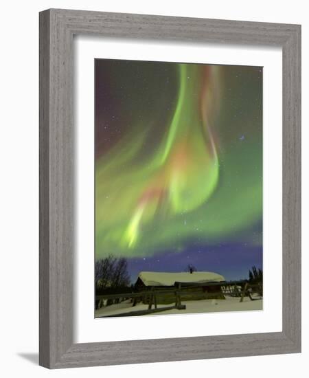 Aurora Borealis And Orion's Belt Above a Log Cabin at Whitehorse, Yukon, Canada-Stocktrek Images-Framed Photographic Print