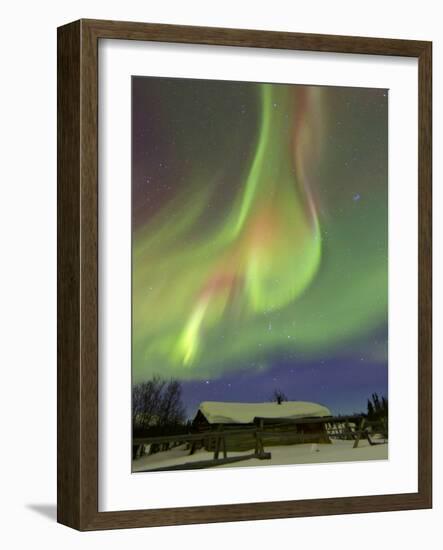 Aurora Borealis And Orion's Belt Above a Log Cabin at Whitehorse, Yukon, Canada-Stocktrek Images-Framed Photographic Print