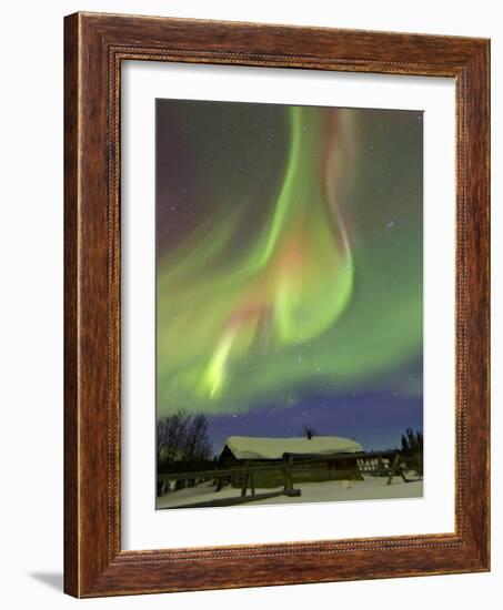 Aurora Borealis And Orion's Belt Above a Log Cabin at Whitehorse, Yukon, Canada-Stocktrek Images-Framed Photographic Print