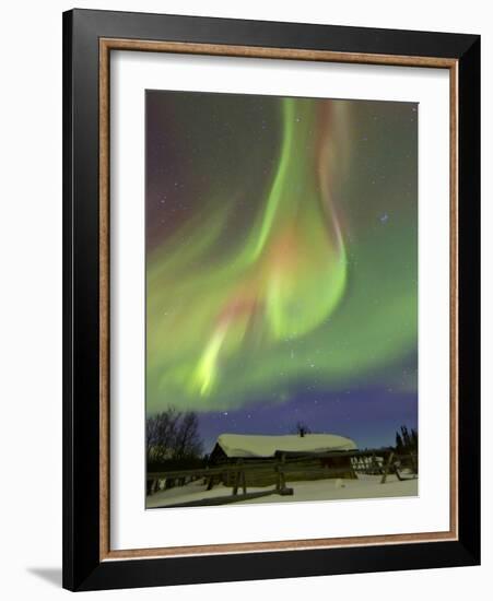 Aurora Borealis And Orion's Belt Above a Log Cabin at Whitehorse, Yukon, Canada-Stocktrek Images-Framed Photographic Print