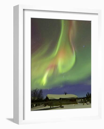 Aurora Borealis And Orion's Belt Above a Log Cabin at Whitehorse, Yukon, Canada-Stocktrek Images-Framed Photographic Print