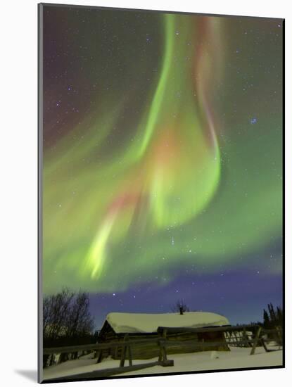 Aurora Borealis And Orion's Belt Above a Log Cabin at Whitehorse, Yukon, Canada-Stocktrek Images-Mounted Photographic Print