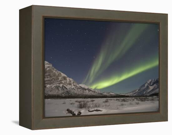 Aurora Borealis, Arctic National Wildlife Refuge, Alaska, USA-Hugh Rose-Framed Premier Image Canvas