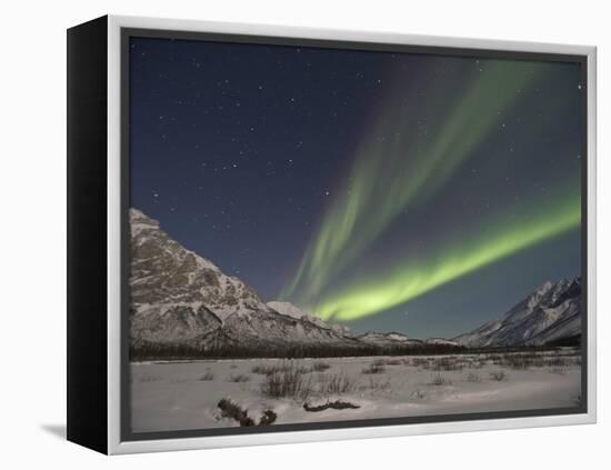 Aurora Borealis, Arctic National Wildlife Refuge, Alaska, USA-Hugh Rose-Framed Premier Image Canvas