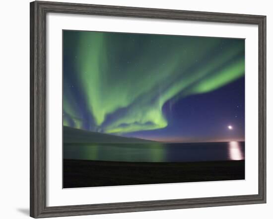 Aurora Borealis, Arctic National Wildlife Refuge, Alaska, USA-Hugh Rose-Framed Photographic Print