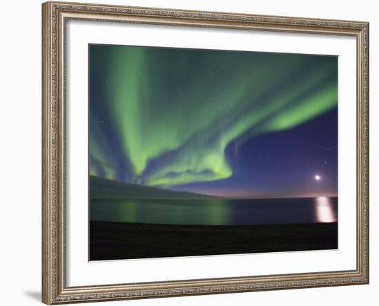 Aurora Borealis, Arctic National Wildlife Refuge, Alaska, USA-Hugh Rose-Framed Photographic Print