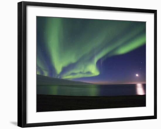 Aurora Borealis, Arctic National Wildlife Refuge, Alaska, USA-Hugh Rose-Framed Photographic Print